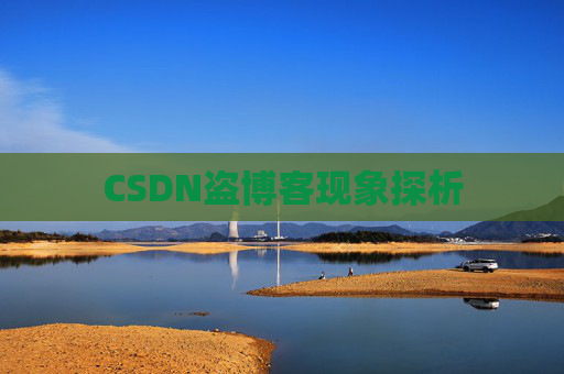 CSDN盗博客现象探析